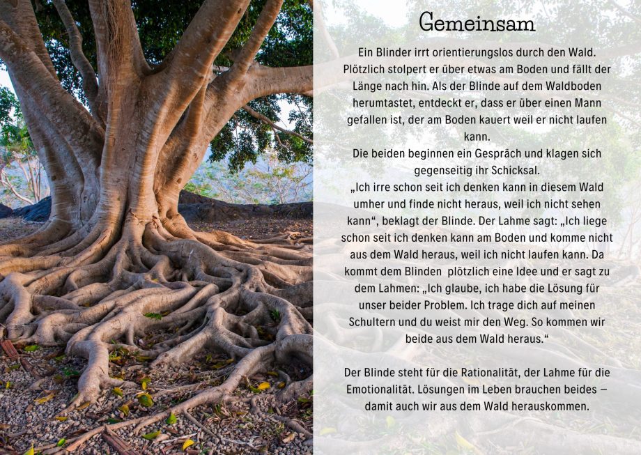 Gemeinsam Nr. 55 - 10er Set