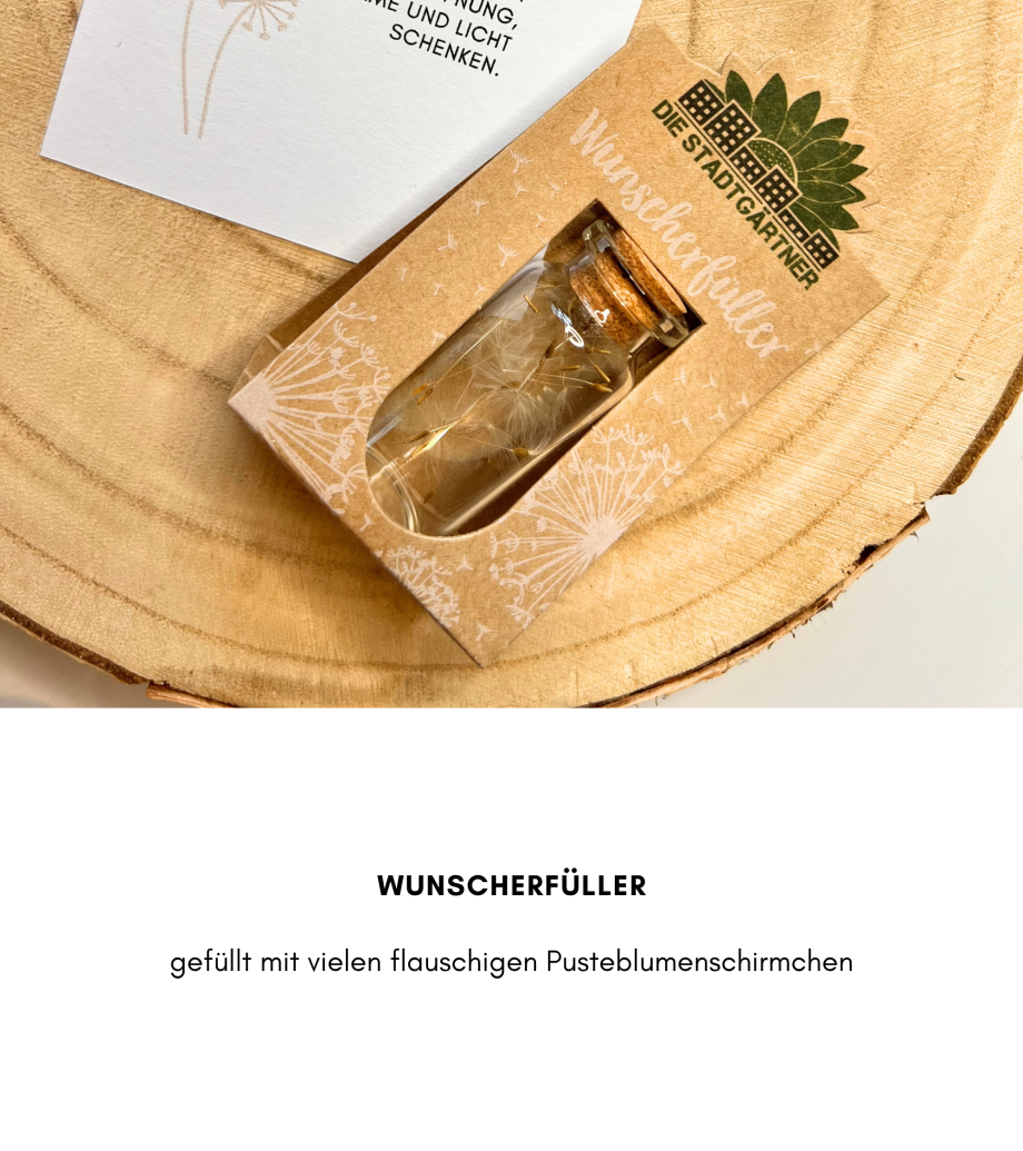 Geschenkbox Wunscherfüller (mittel) – Ein Funken Hoffnung und Dankbarkeit