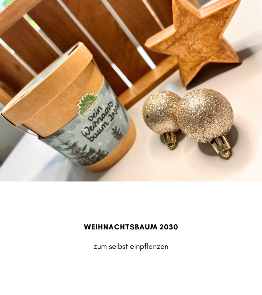 Weihnachtsbaum 2030 – ein Geschenk, das wächst