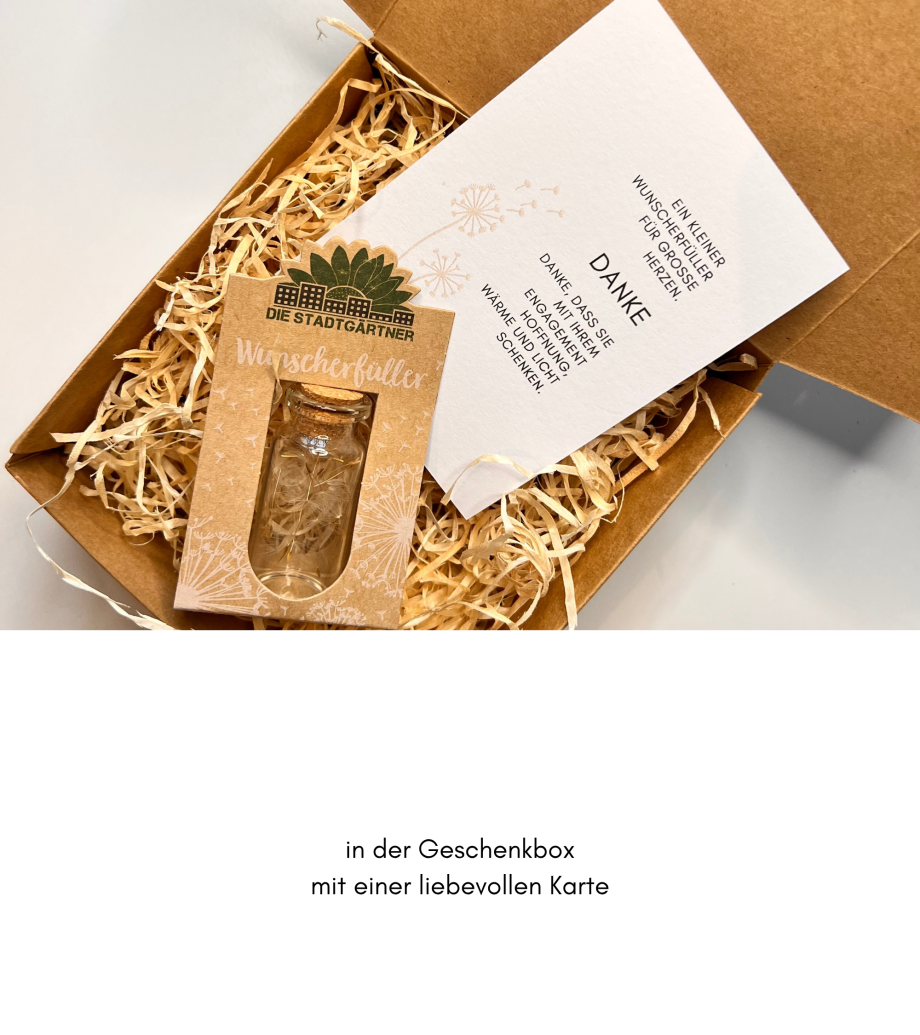 Geschenkbox Wunscherfüller (mittel) – Ein Funken Hoffnung und Dankbarkeit