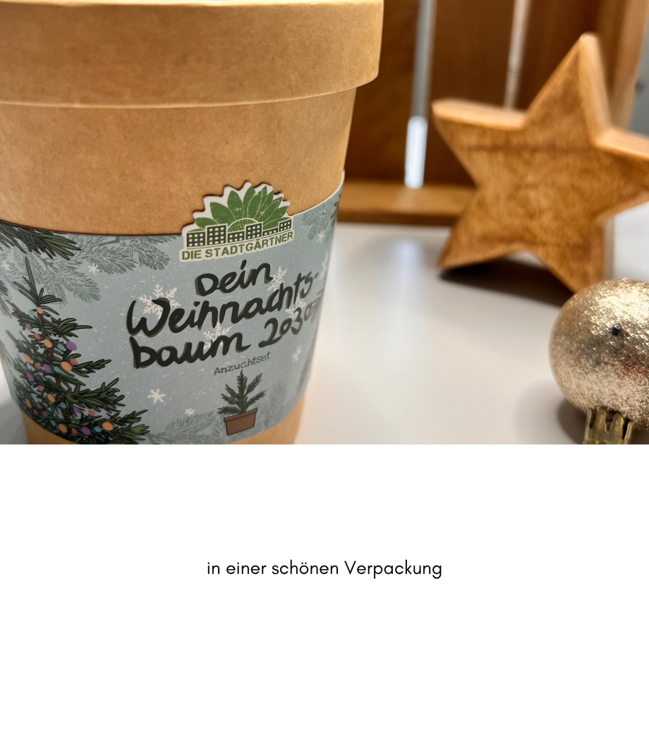 Weihnachtsbaum 2030 – ein Geschenk, das wächst