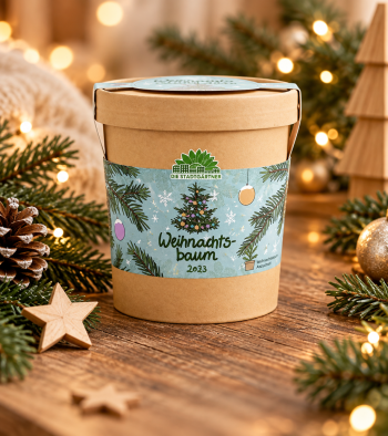 Weihnachtsbaum 2033 – ein Geschenk, das wächst