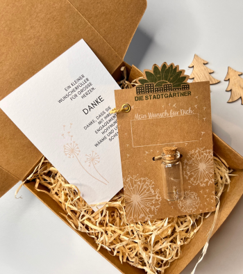 Geschenkbox Wunscherfüller (klein) – Ein Funken Hoffnung und Dankbarkeit