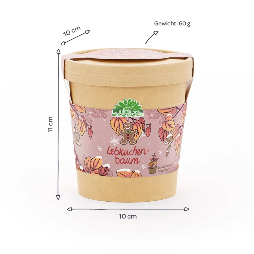 Lebkuchenbaum aus dem Becher – kleines Weihnachtsgeschenk zum Danke sagen