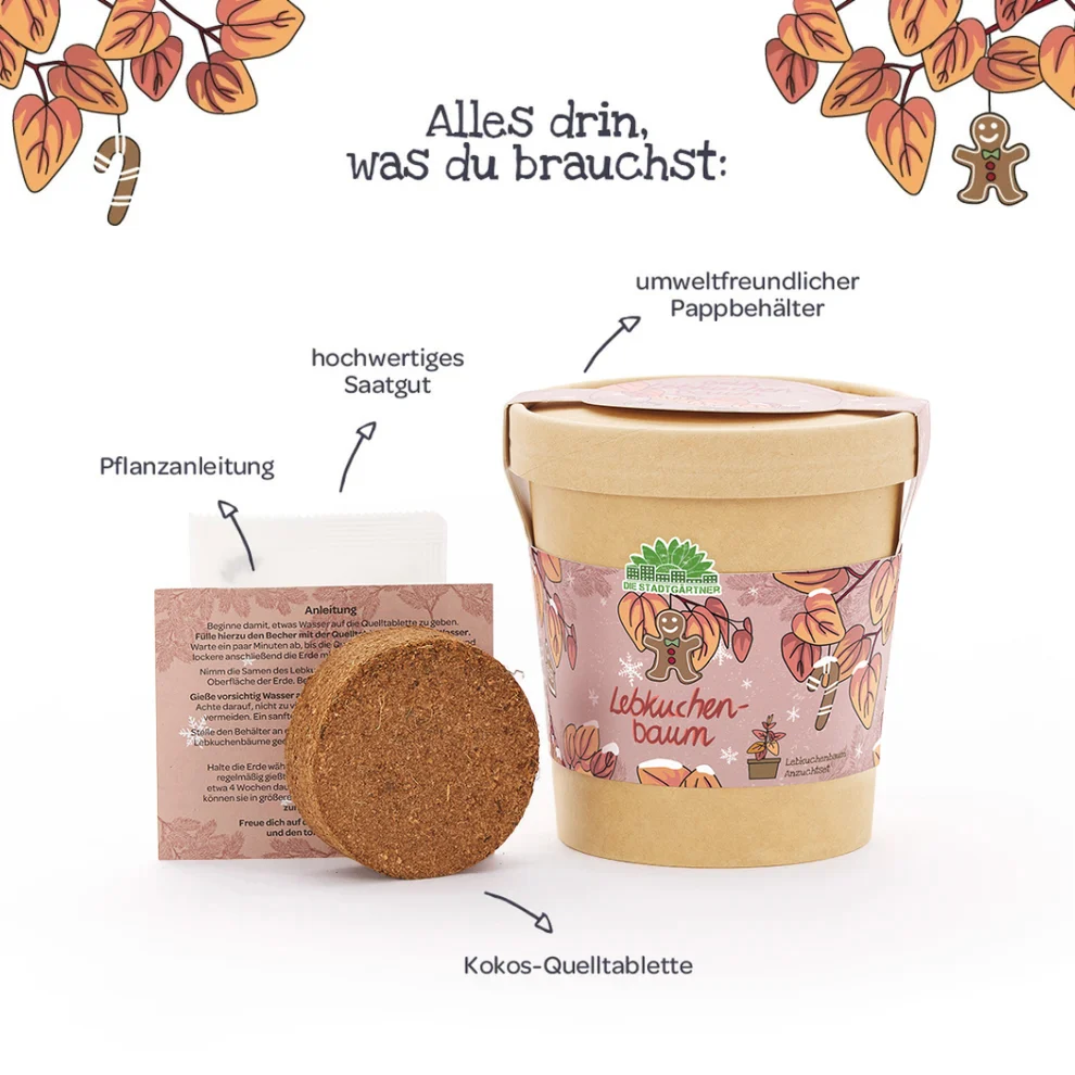 Lebkuchenbaum aus dem Becher – kleines Weihnachtsgeschenk zum Danke sagen