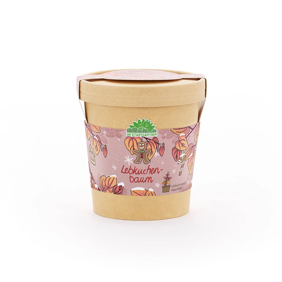 Lebkuchenbaum aus dem Becher – kleines Weihnachtsgeschenk zum Danke sagen