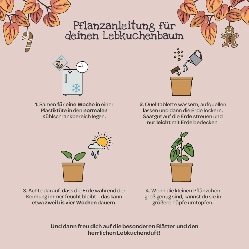 Lebkuchenbaum aus dem Becher – kleines Weihnachtsgeschenk zum Danke sagen