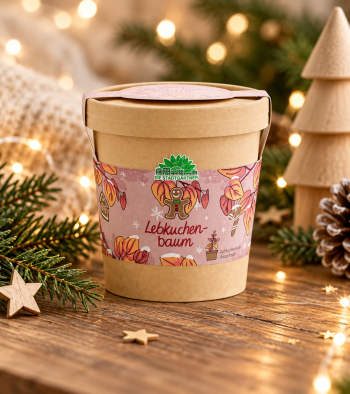 Lebkuchenbaum aus dem Becher – kleines Weihnachtsgeschenk zum Danke sagen